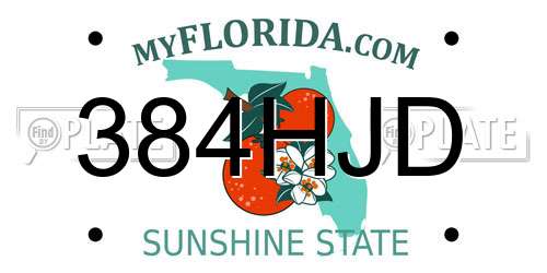 384HJD Florida License Plate