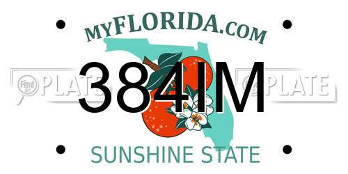 384IM Florida License Plate