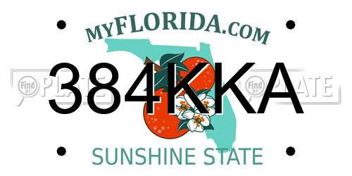 384KKA Florida License Plate
