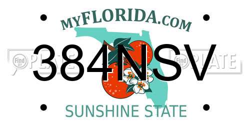 384NSV Florida License Plate