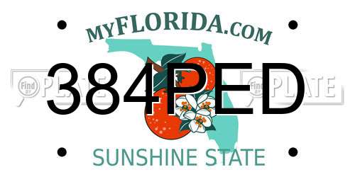 384PED Florida License Plate