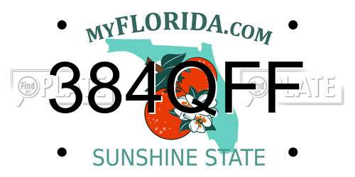 384QFF Florida License Plate