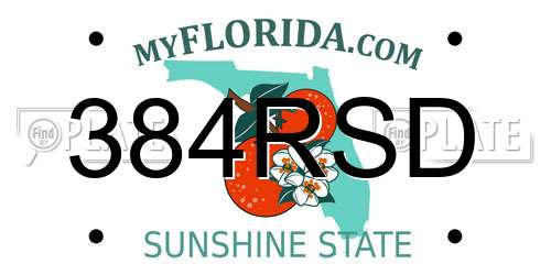 384RSD Florida License Plate