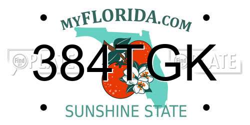 384TGK Florida License Plate