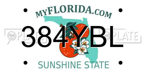 384YBL Florida License Plate