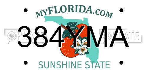 384YMA Florida License Plate