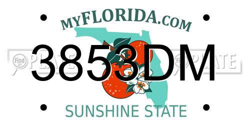 3853DM Florida License Plate