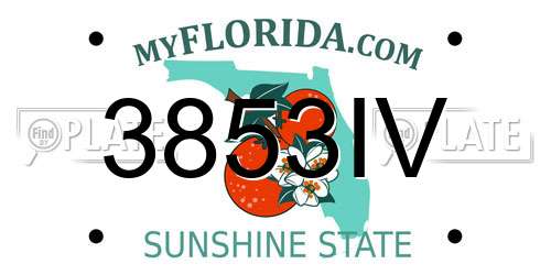 3853IV Florida License Plate