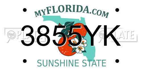 3855YK Florida License Plate