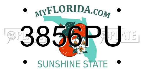 3856PU Florida License Plate