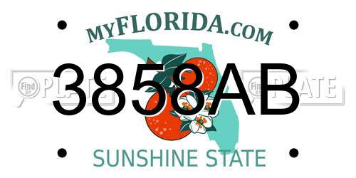 3858AB Florida License Plate