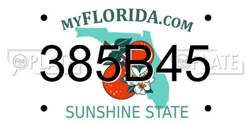 385B45 Florida License Plate