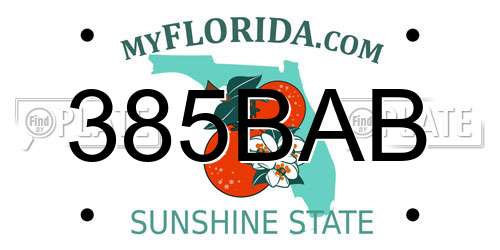 385BAB Florida License Plate