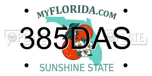 385DAS Florida License Plate