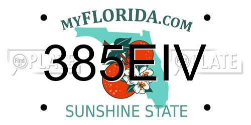 385EIV Florida License Plate