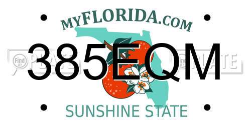 385EQM Florida License Plate