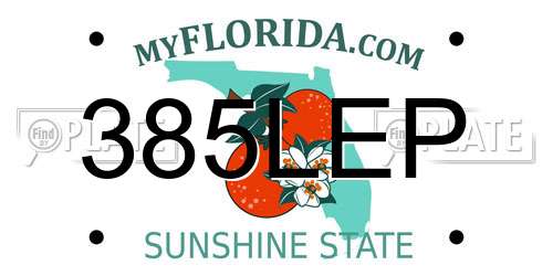 385LEP Florida License Plate
