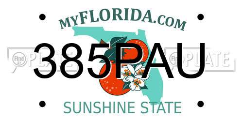 385PAU Florida License Plate
