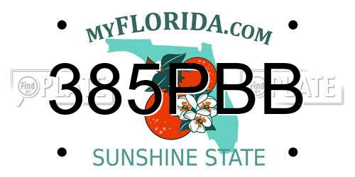 385PBB Florida License Plate