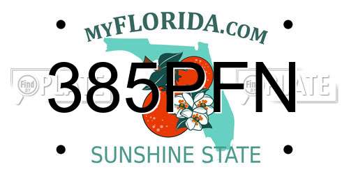 385PFN Florida License Plate