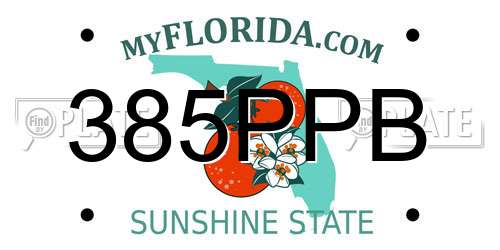 385PPB Florida License Plate