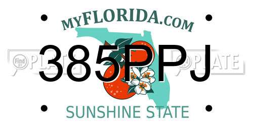 385PPJ Florida License Plate