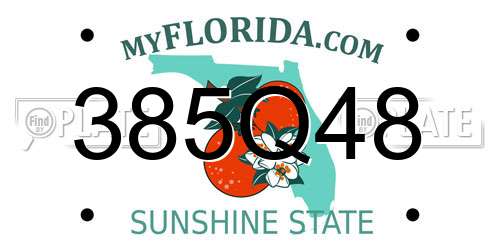 385Q48 Florida License Plate