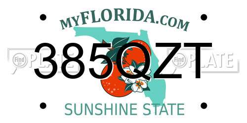 385QZT Florida License Plate