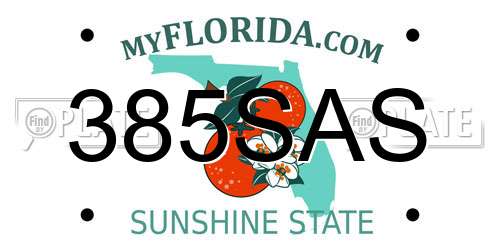 385SAS Florida License Plate
