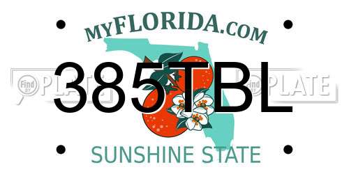 385TBL Florida License Plate