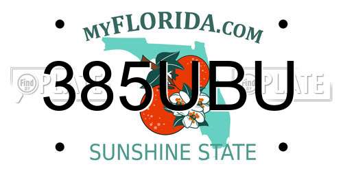 385UBU Florida License Plate