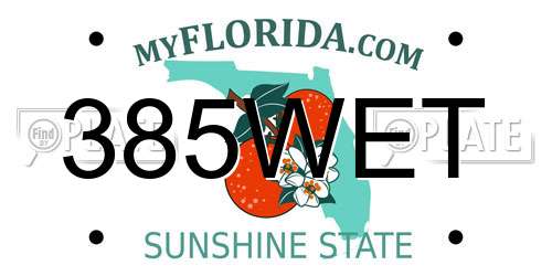 385WET Florida License Plate