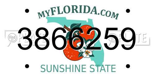 3866259 Florida License Plate