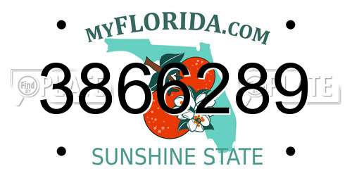 3866289 Florida License Plate