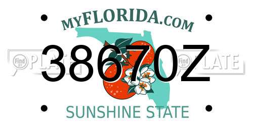 38670Z Florida License Plate