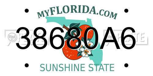 38680A6 Florida License Plate