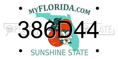 386D44 Florida License Plate