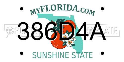 386D4A Florida License Plate