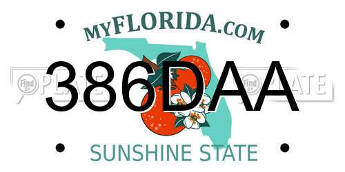 386DAA Florida License Plate