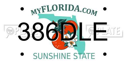 386DLE Florida License Plate