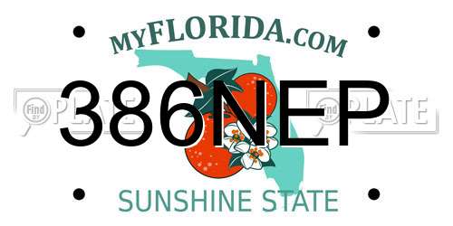 386NEP Florida License Plate