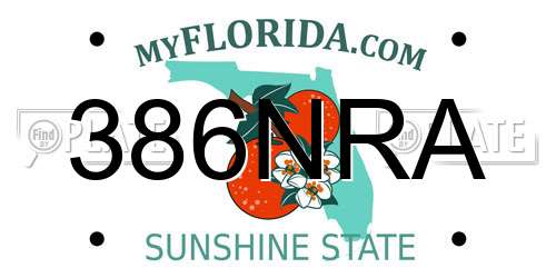 386NRA Florida License Plate