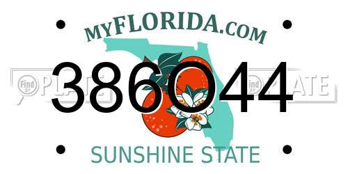 386O44 Florida License Plate