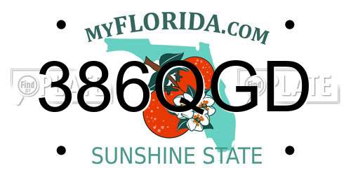 386QGD Florida License Plate