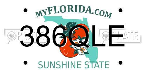 386QLE Florida License Plate