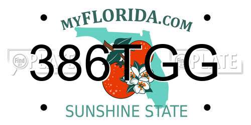 386TGG Florida License Plate