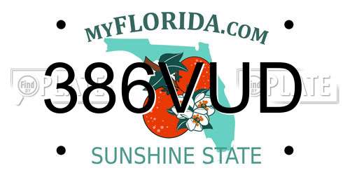 386VUD Florida License Plate