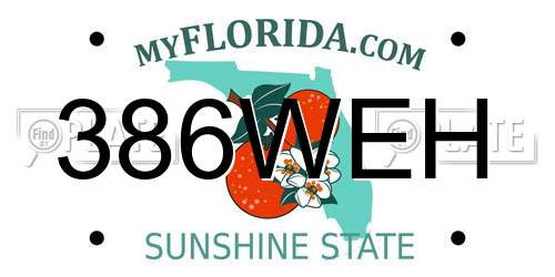 386WEH Florida License Plate