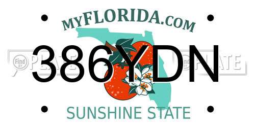 386YDN Florida License Plate