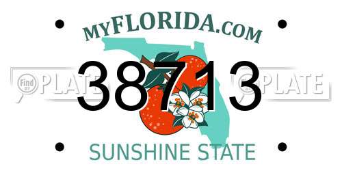 38713 Florida License Plate